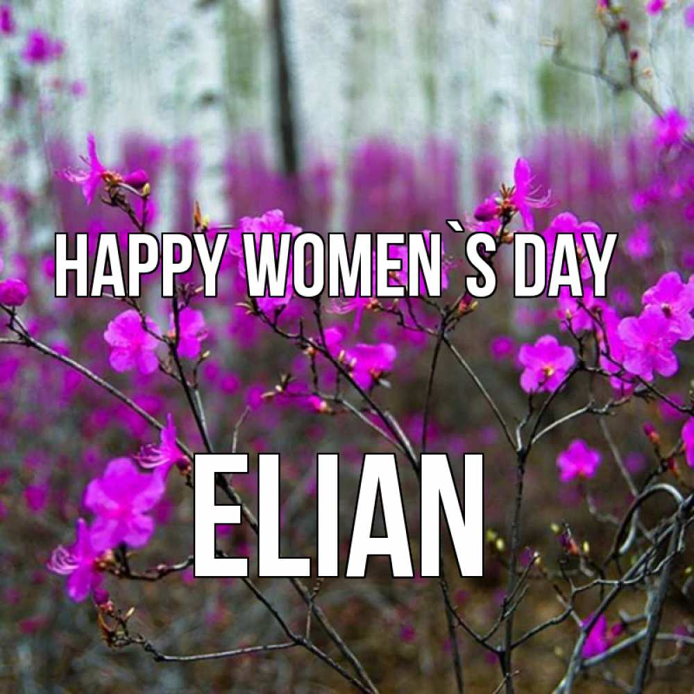 Greetings card с именем, Elian happy women`s day дикие цветы Greetings with text for free download 